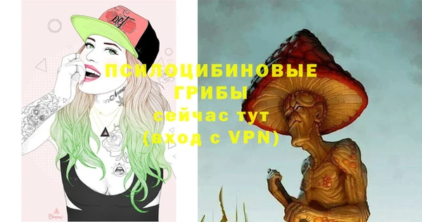 ALPHA PVP Алексеевка