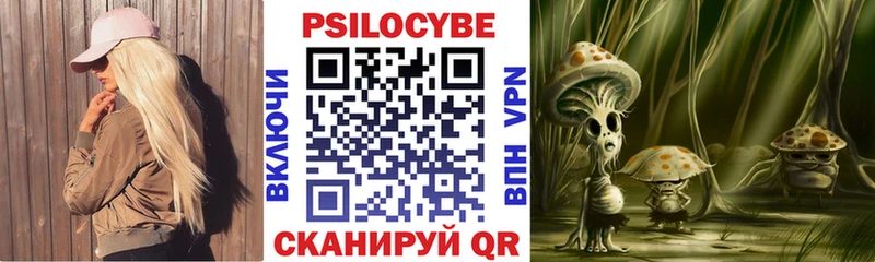 купить наркоту  Аргун  OMG онион  Галлюциногенные грибы Psilocybine cubensis 